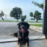 473018705_122128785068605460_8326493729433631216_n