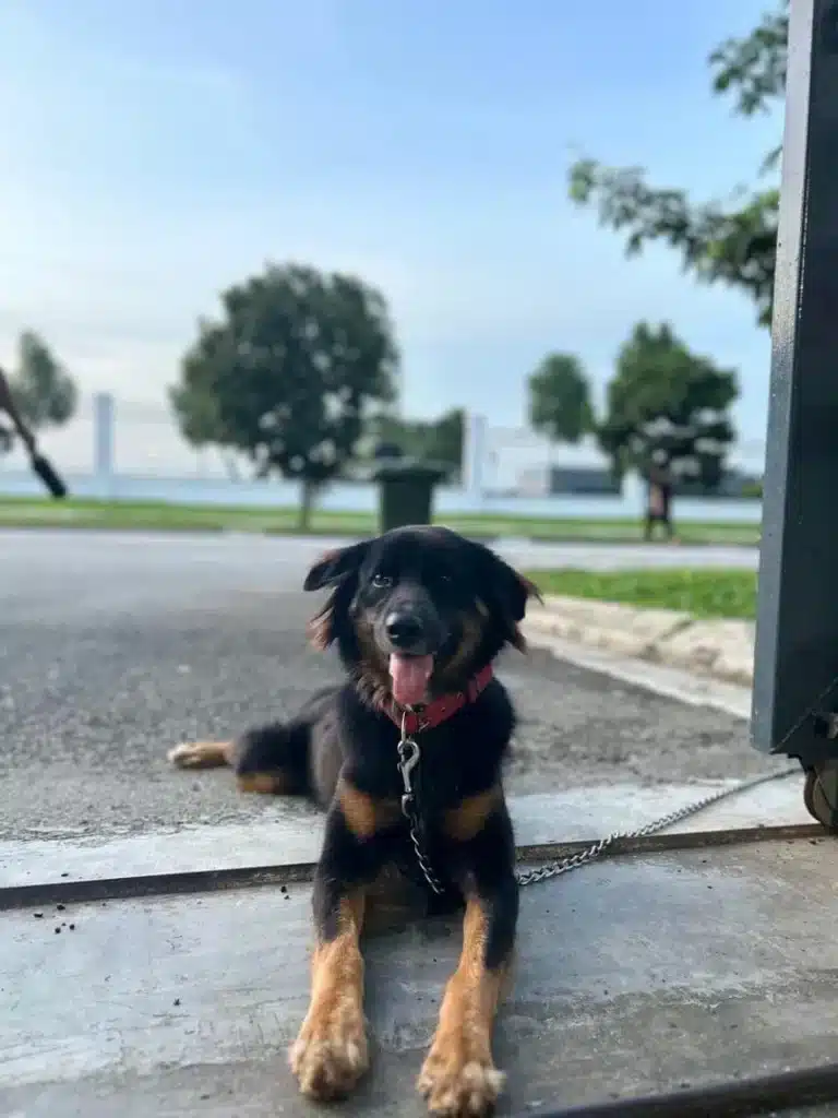 473018705_122128785068605460_8326493729433631216_n