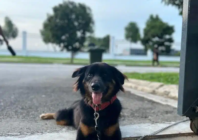 473018705_122128785068605460_8326493729433631216_n