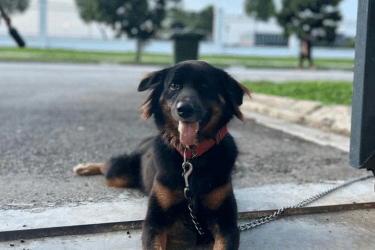 未命名設計 (10)