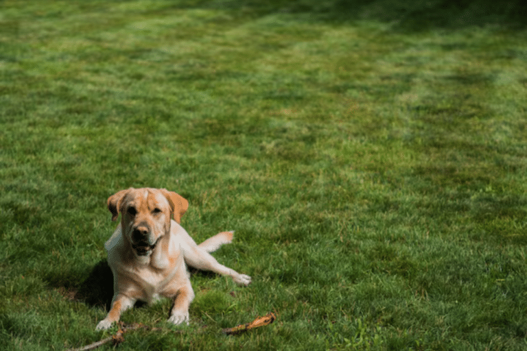 未命名設計 (21)
