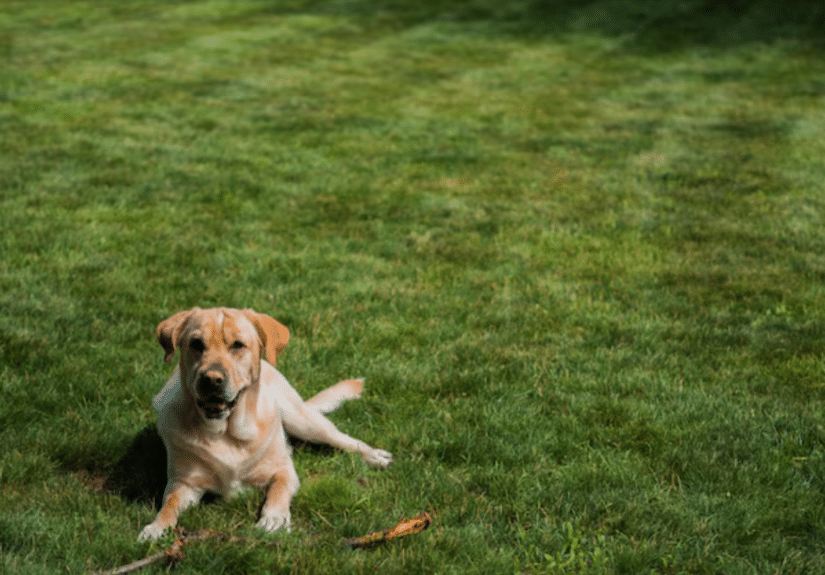 未命名設計 (21)