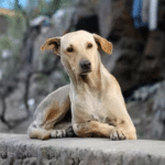 未命名設計 (32)