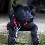 未命名設計 (56)