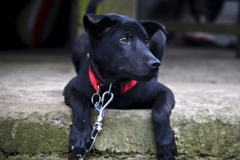 未命名設計 (56)