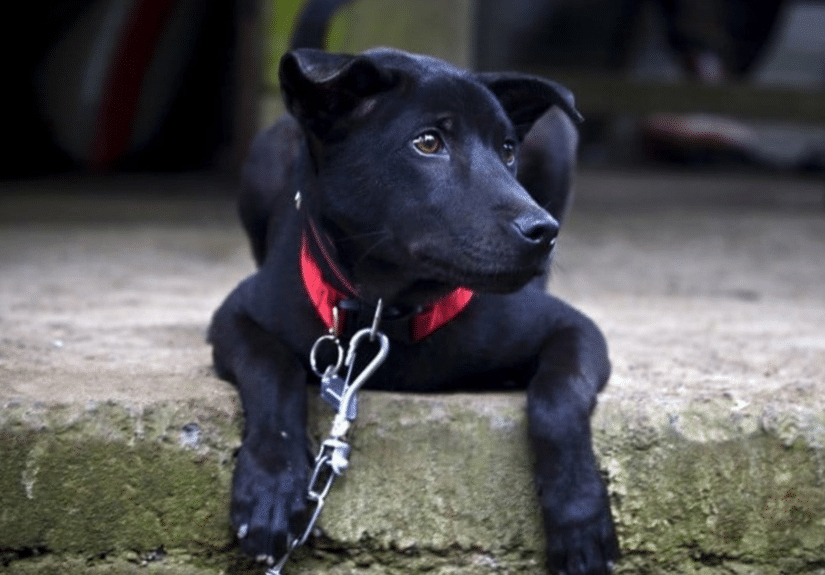 未命名設計 (56)